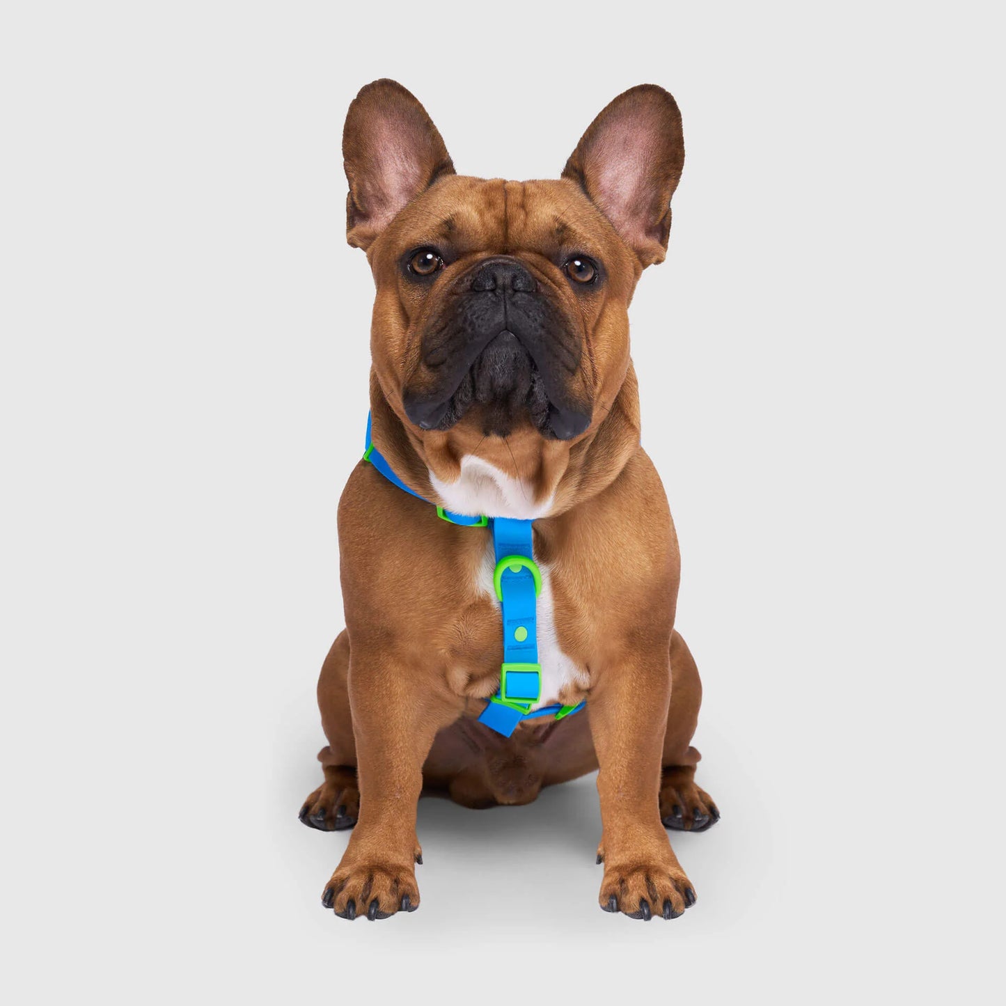 Waterproof Harness