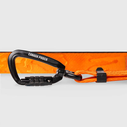 Utility Leash