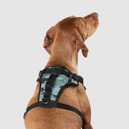 The Everything Harness Water-Resistant Series