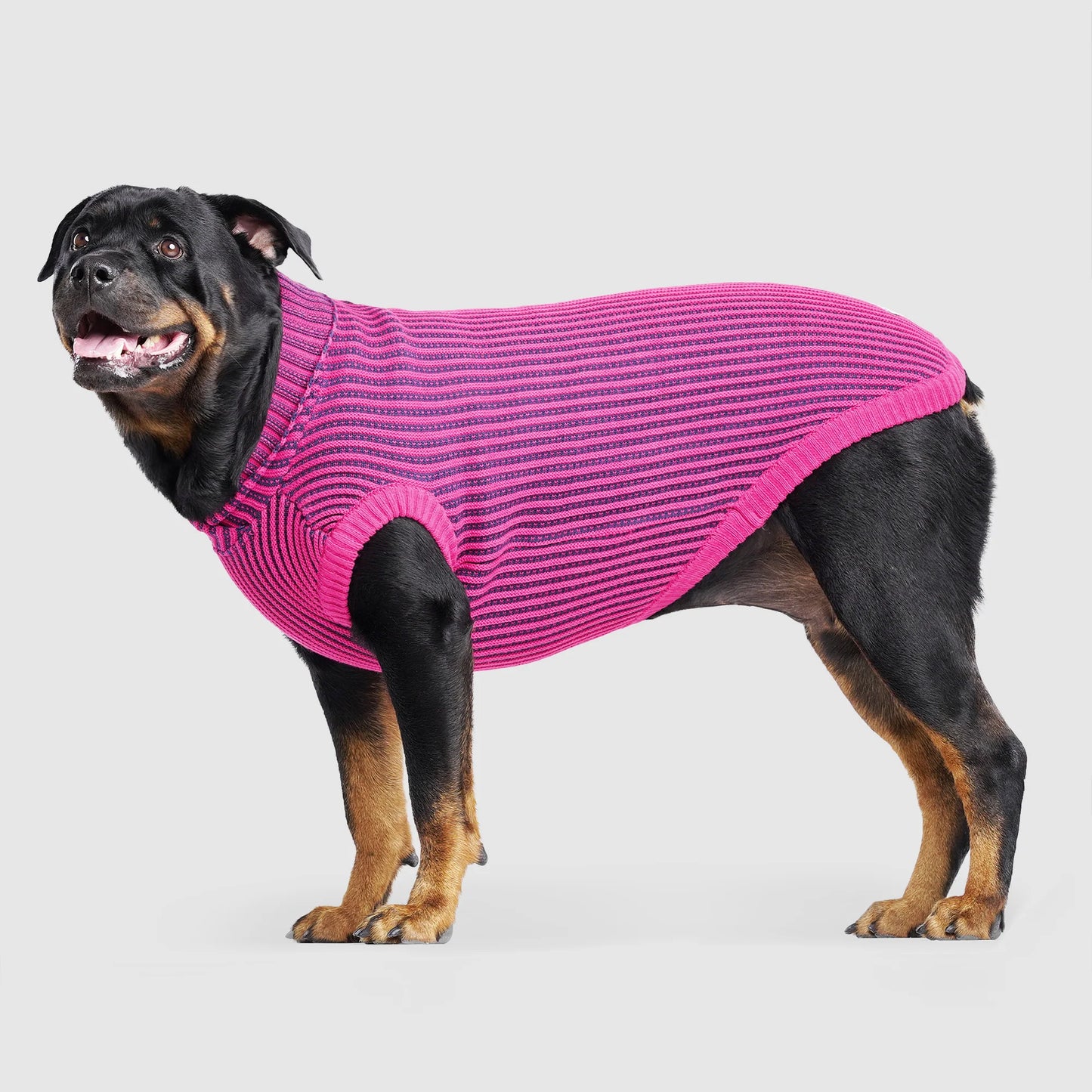Icon Sweater