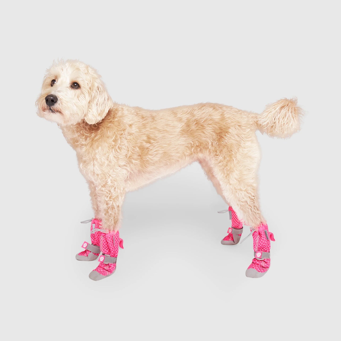 Hot Pavement Boots