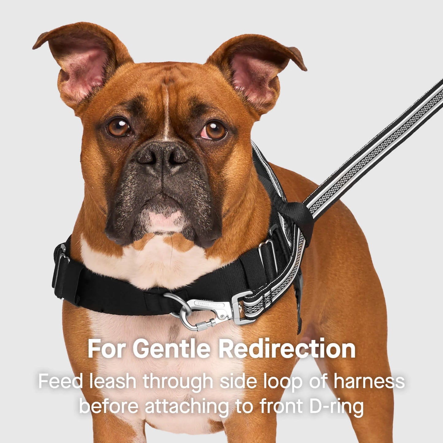 Re-Direct Harness