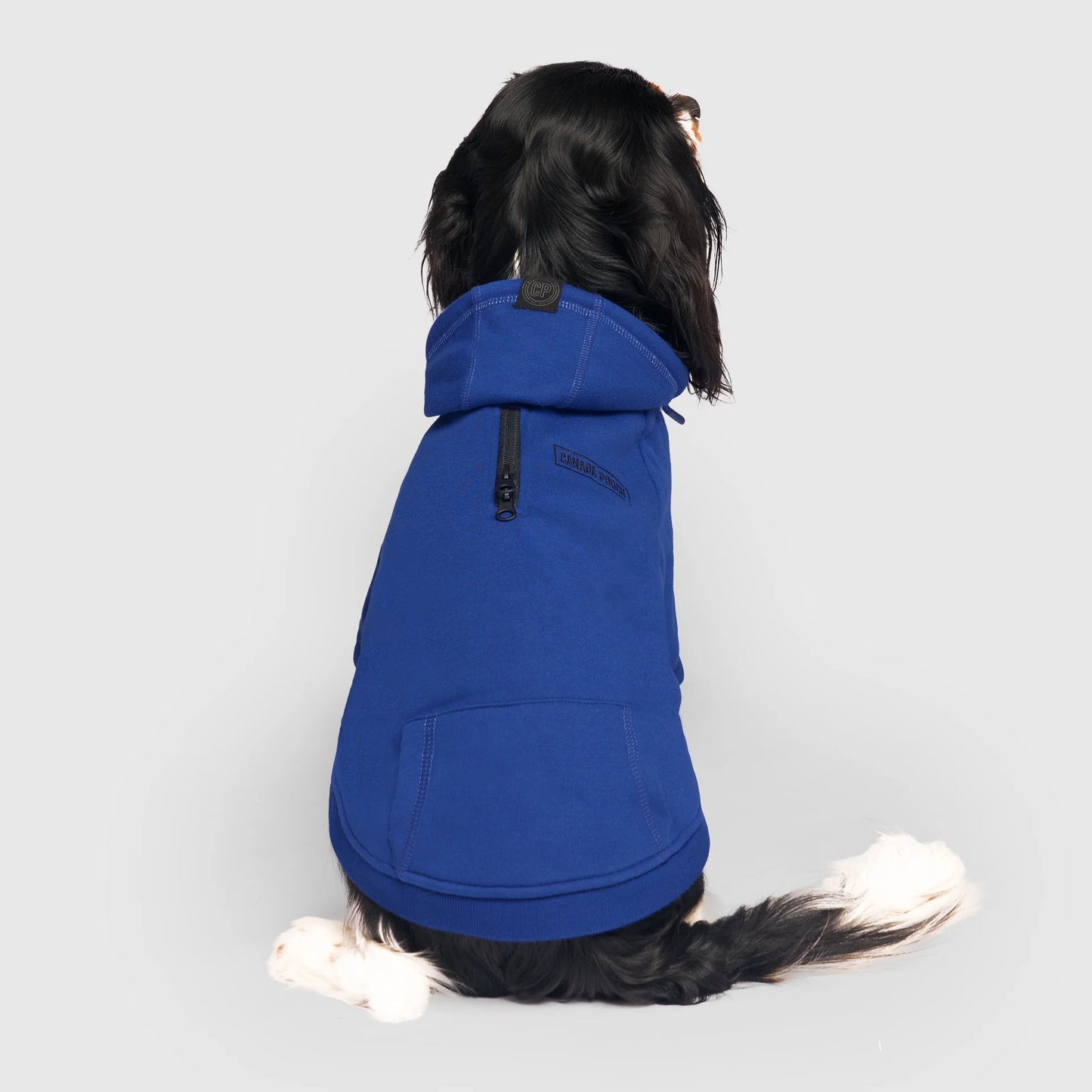Eco+ Everyday Hoodie