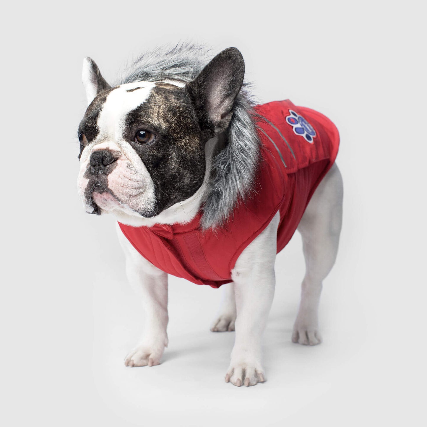 Everest Explorer Jacket