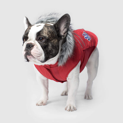 Everest Explorer Jacket