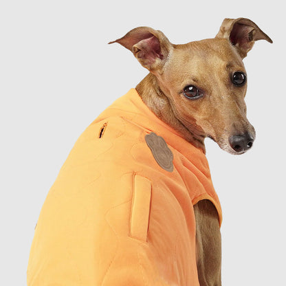 Reversible Vest