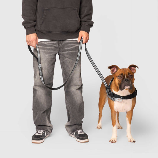 Jacquard Leash