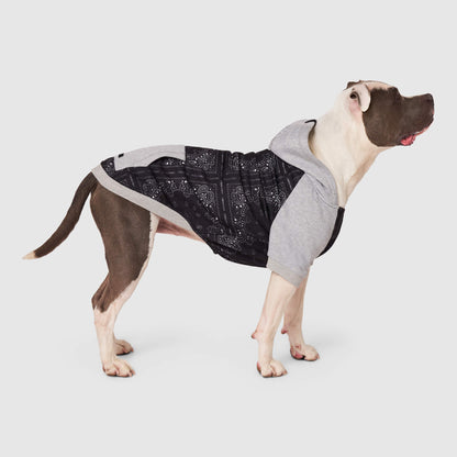 Whatever The Weather Hoodie