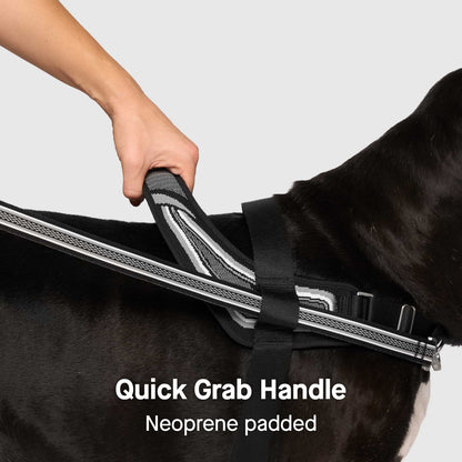 Re-Direct Harness
