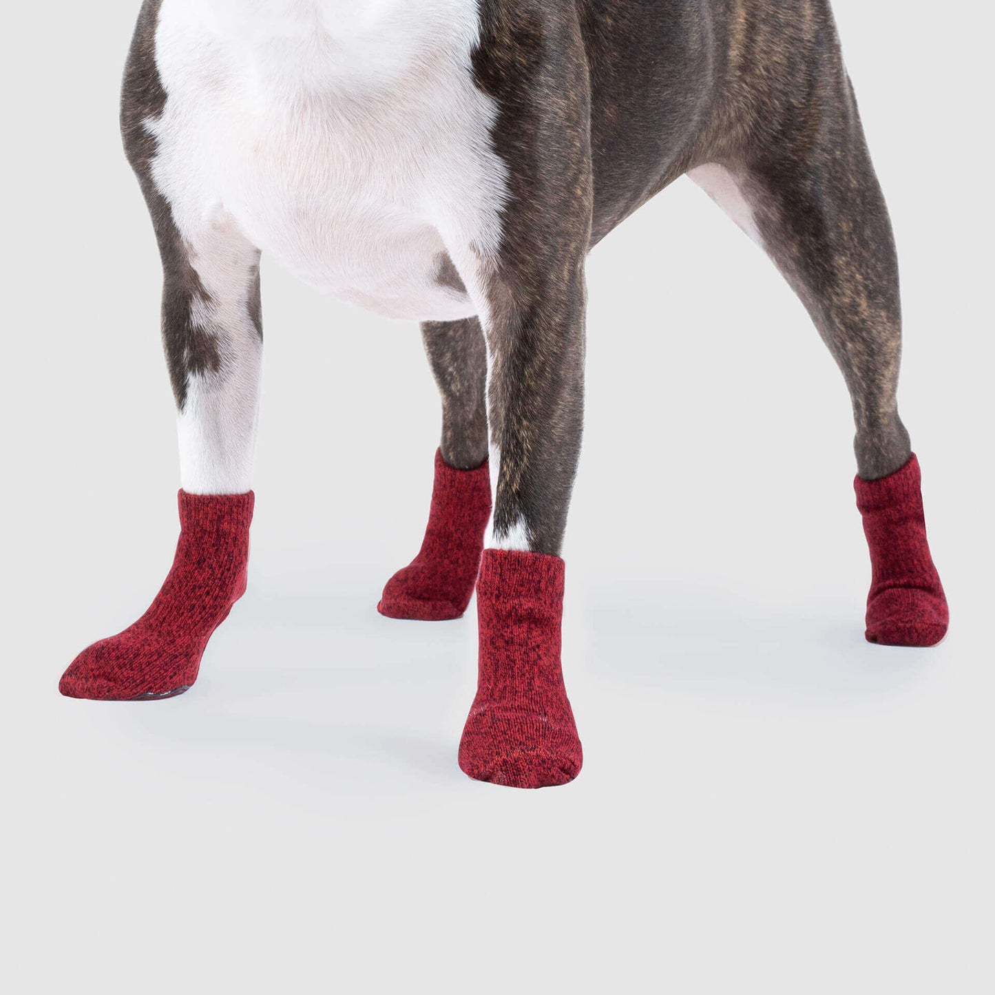 The Basic Sock