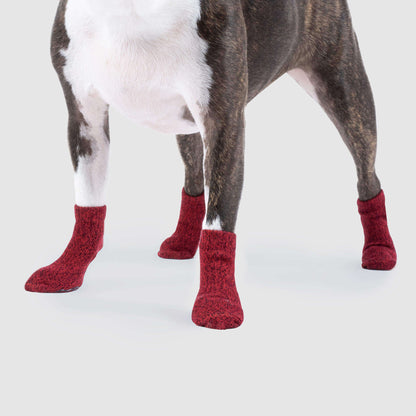 The Basic Sock