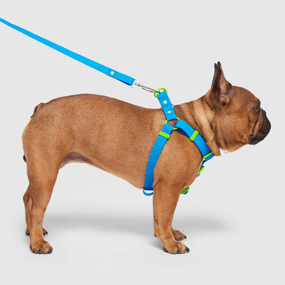 Waterproof Harness