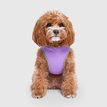 Chill Seeker Cooling Vest Wet Reveal