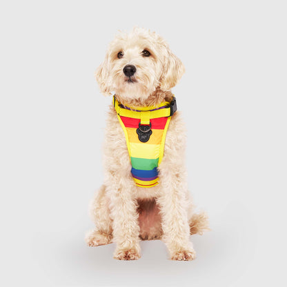 The Everything Harness Water-Resistant Series
