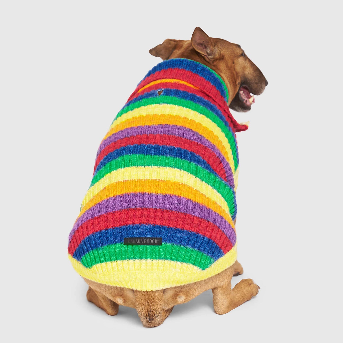 Over The Rainbow Sweater