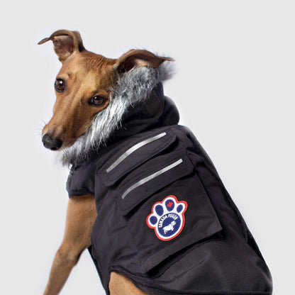 Everest Explorer Jacket