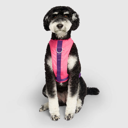 Chill Seeker Cooling Harness