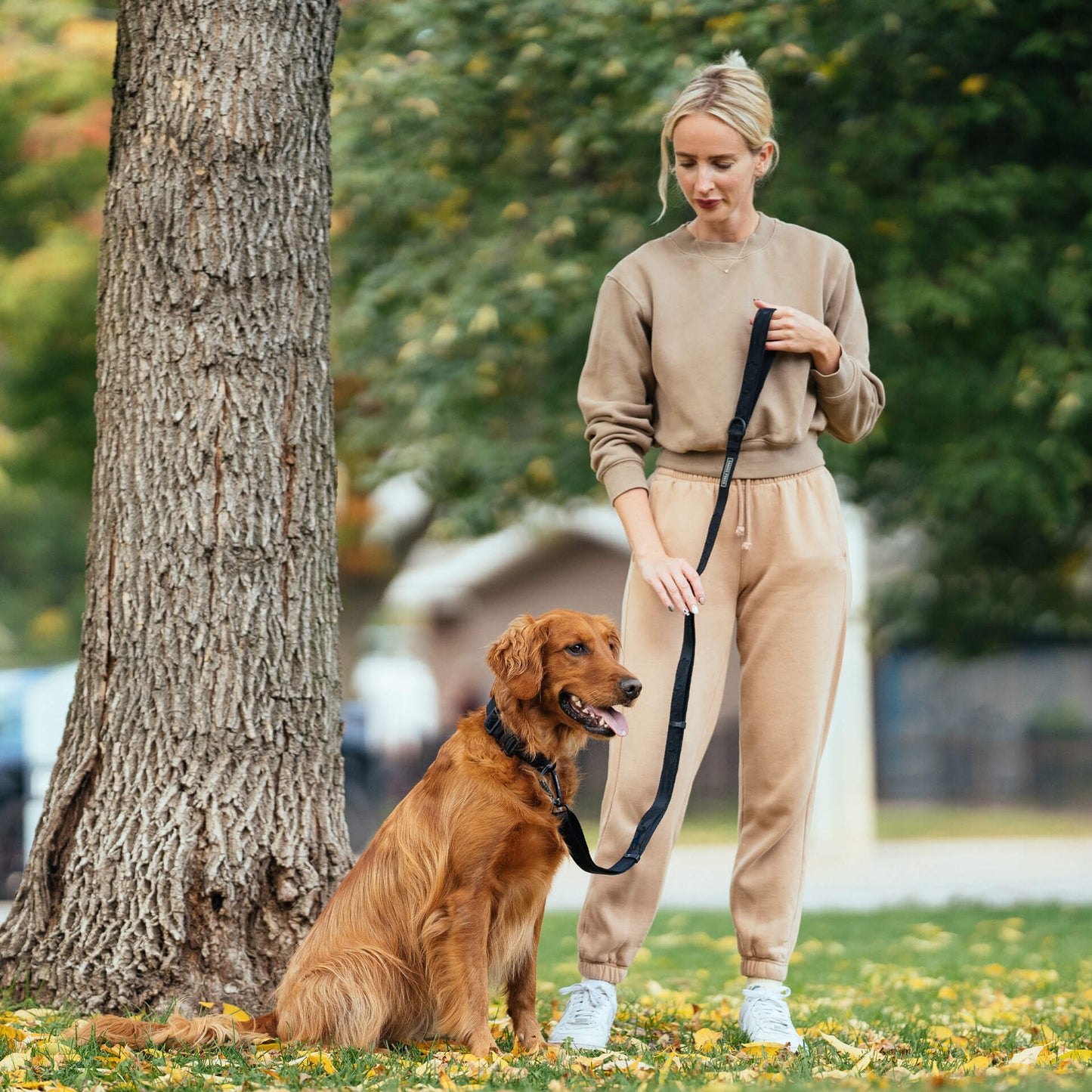 Utility Leash