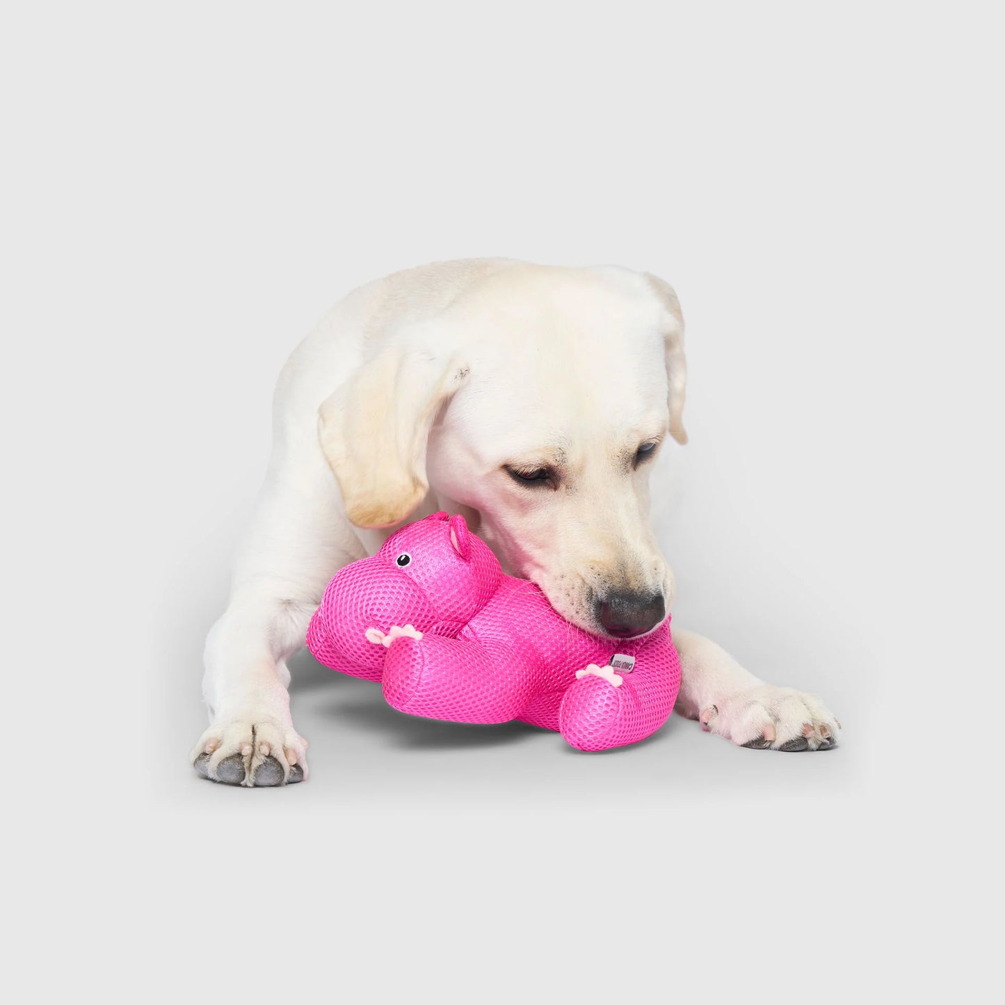 Freeze & Chill Cooling Pal Toy