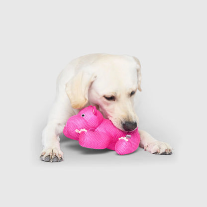 Freeze & Chill Cooling Pal Toy