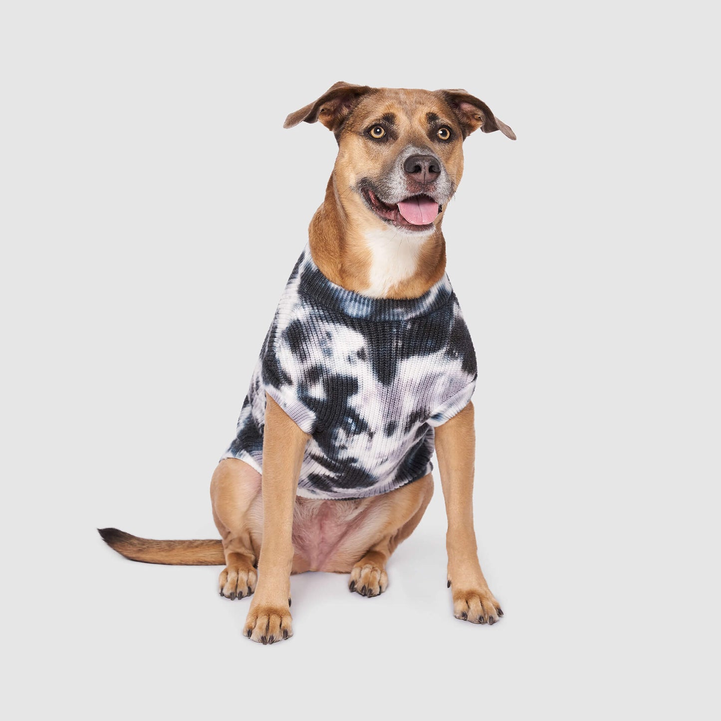Wild Side Sweater