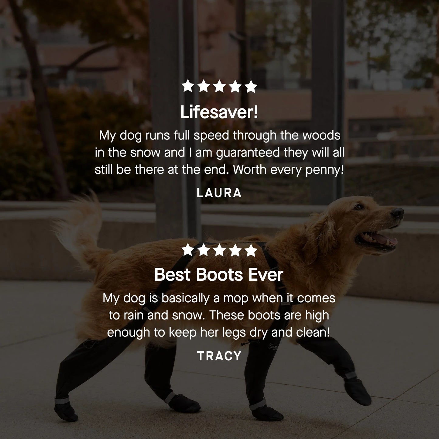 Suspender Boots