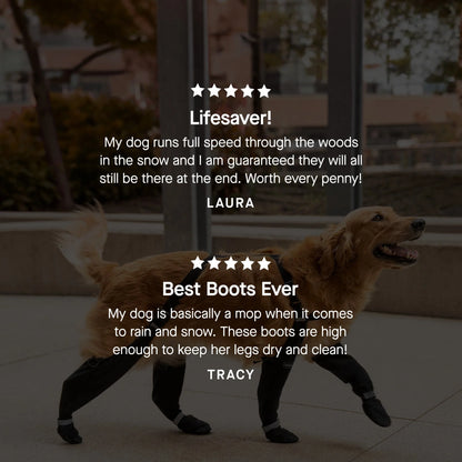Suspender Boots