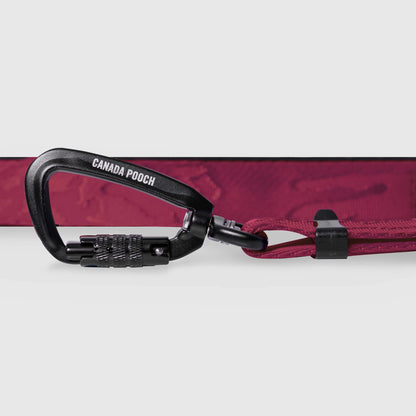 Utility Leash