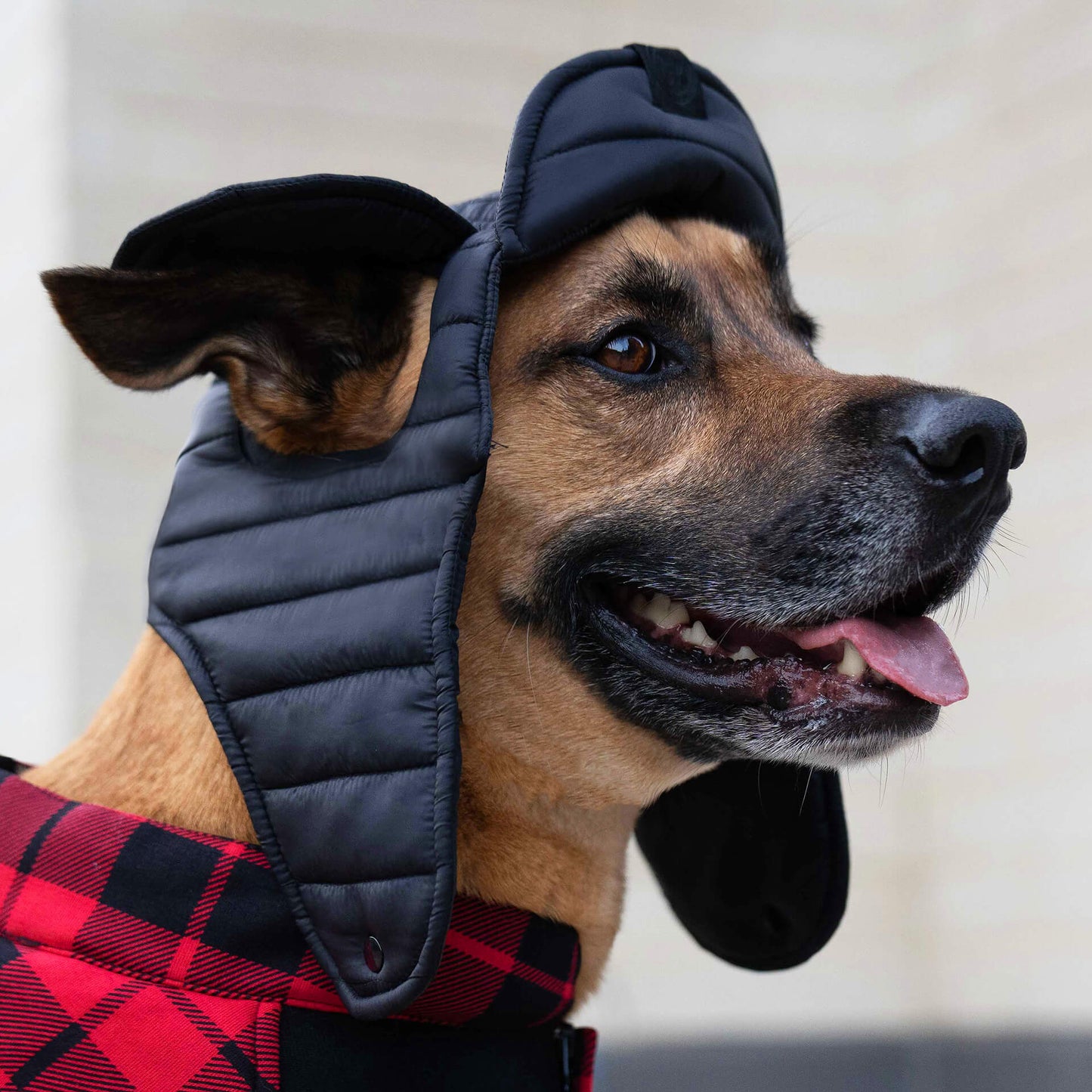 Puffer Hat