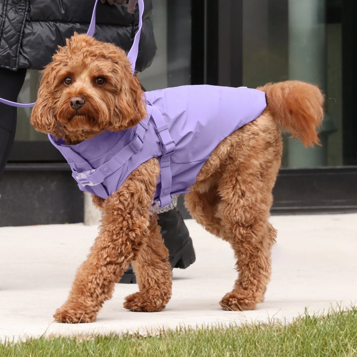 Harness Raincoat