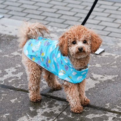 Wet Reveal Torrential Tracker