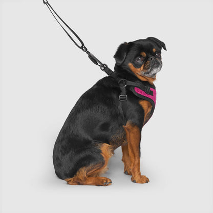 Easy-On Step-In Harness