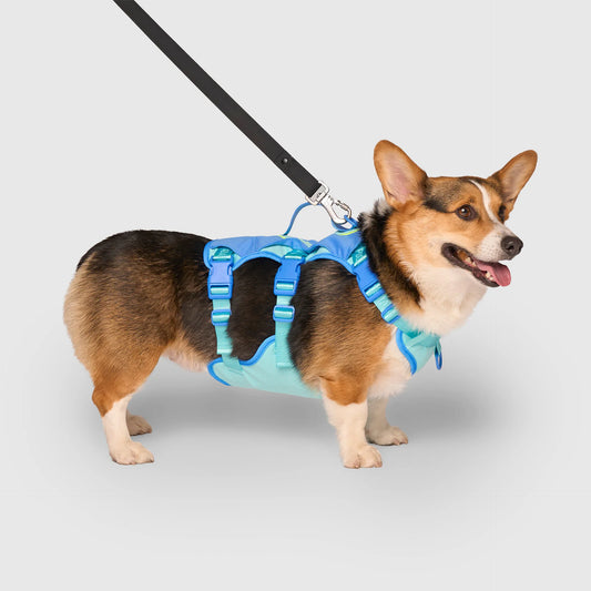 Max Chill Cooling Harness