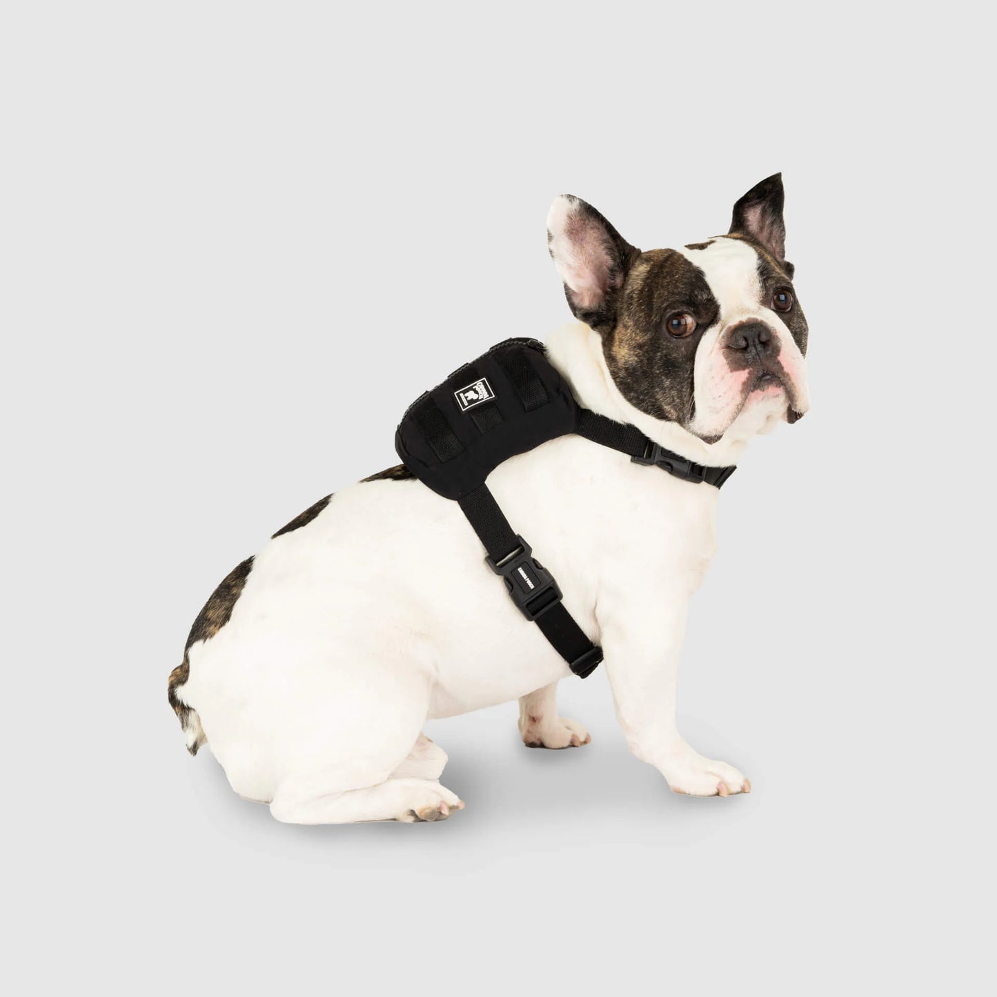 Pack It Jacket