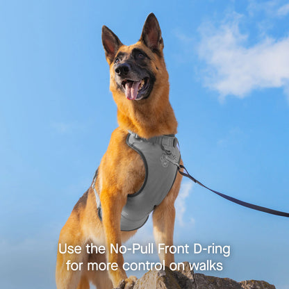 Max Chill Cooling Harness