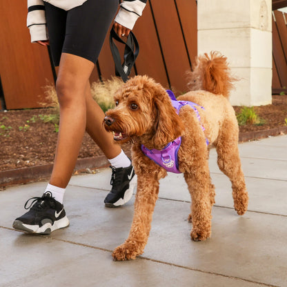 Max Chill Cooling Harness