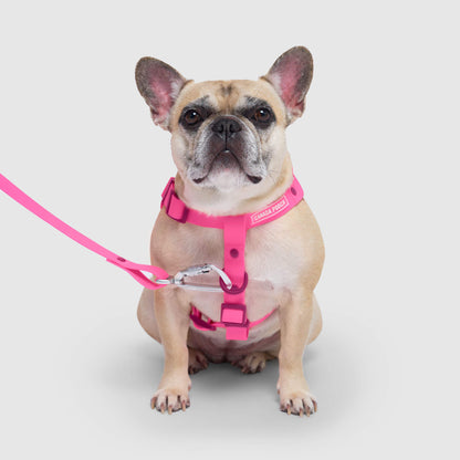 Waterproof Harness