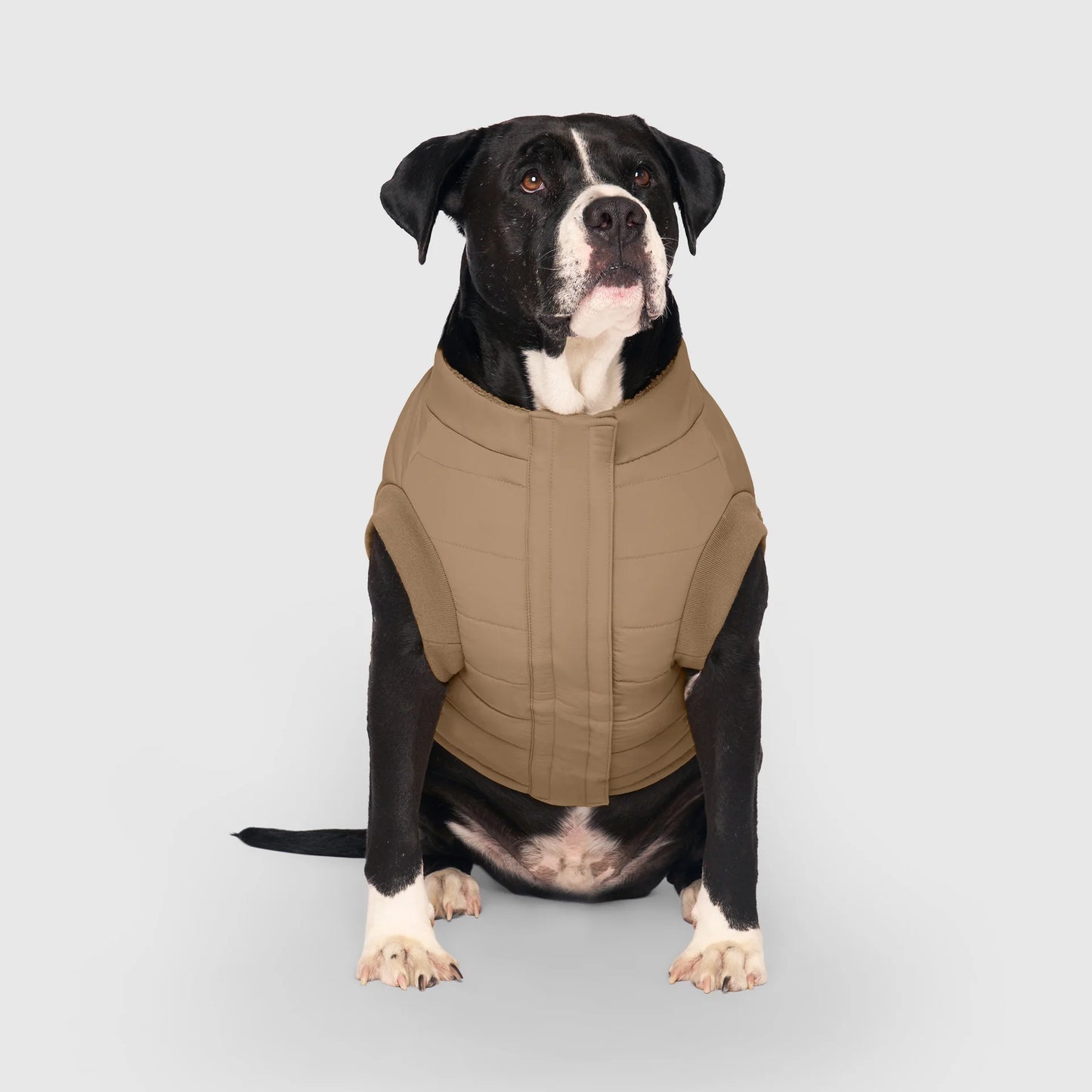 Cool Factor Puffer Jacket