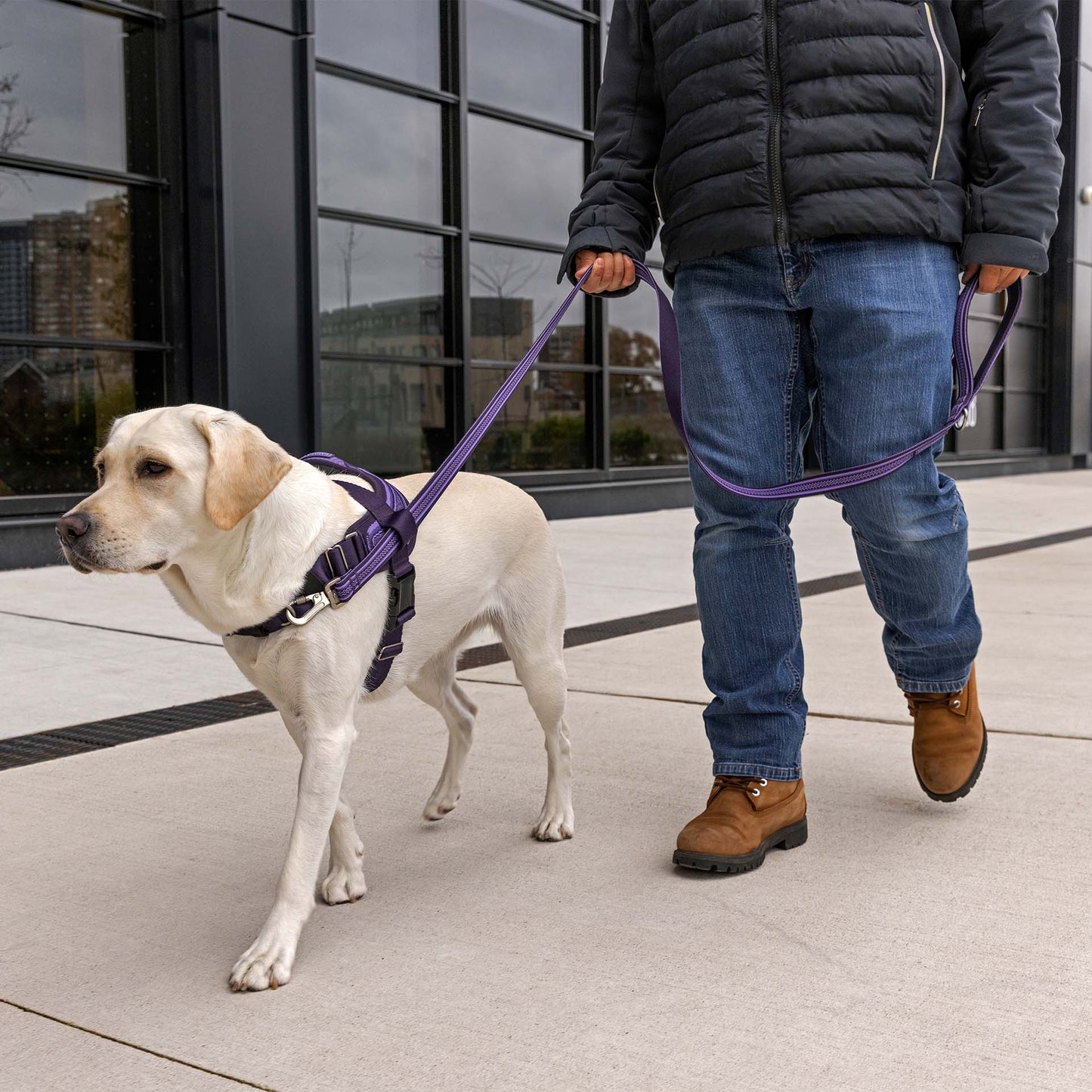 Jacquard Leash