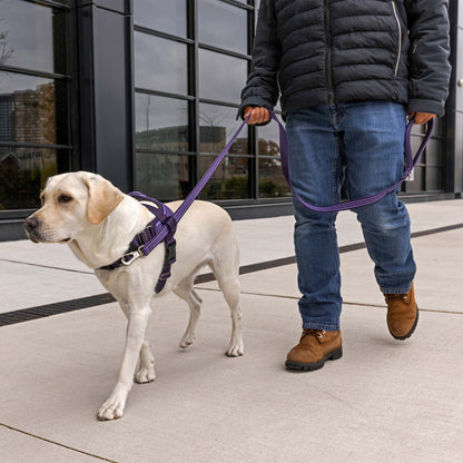 Jacquard Leash