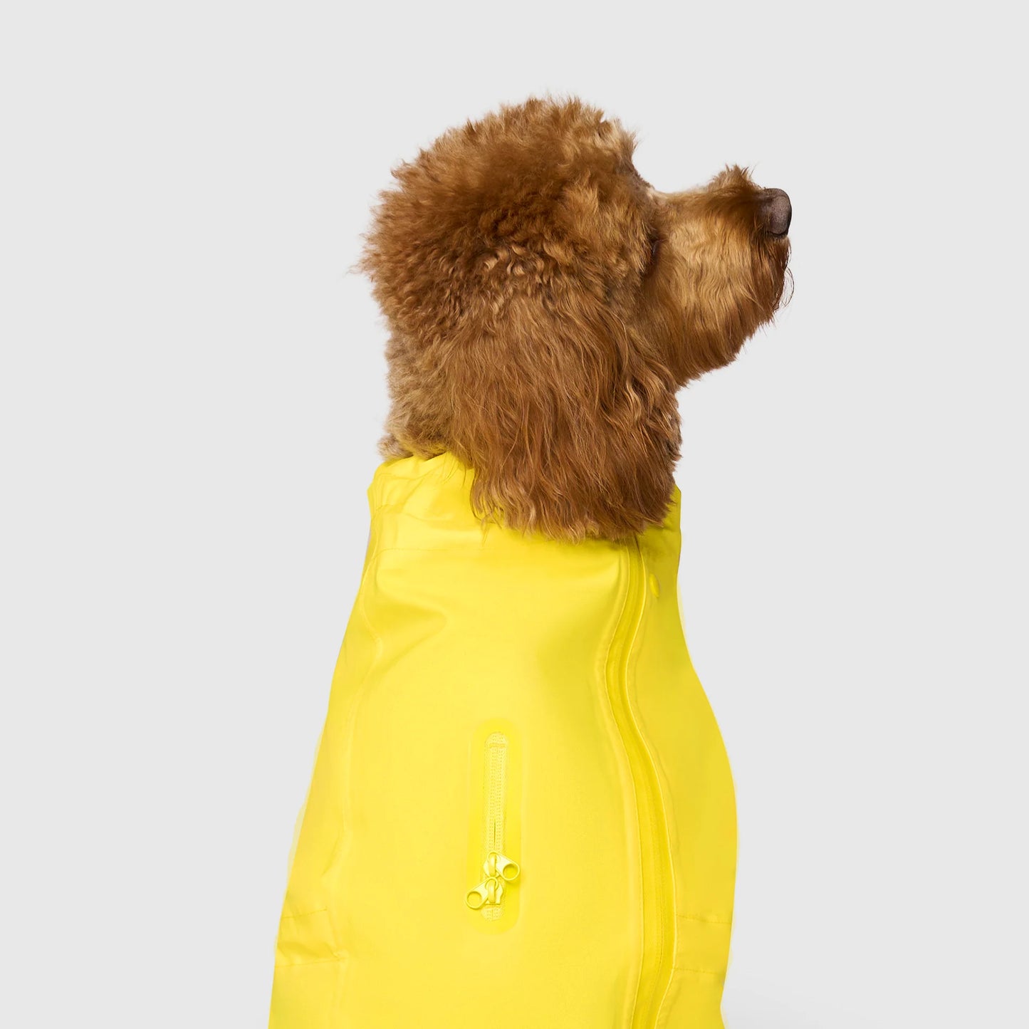 Waterproof Raincoat