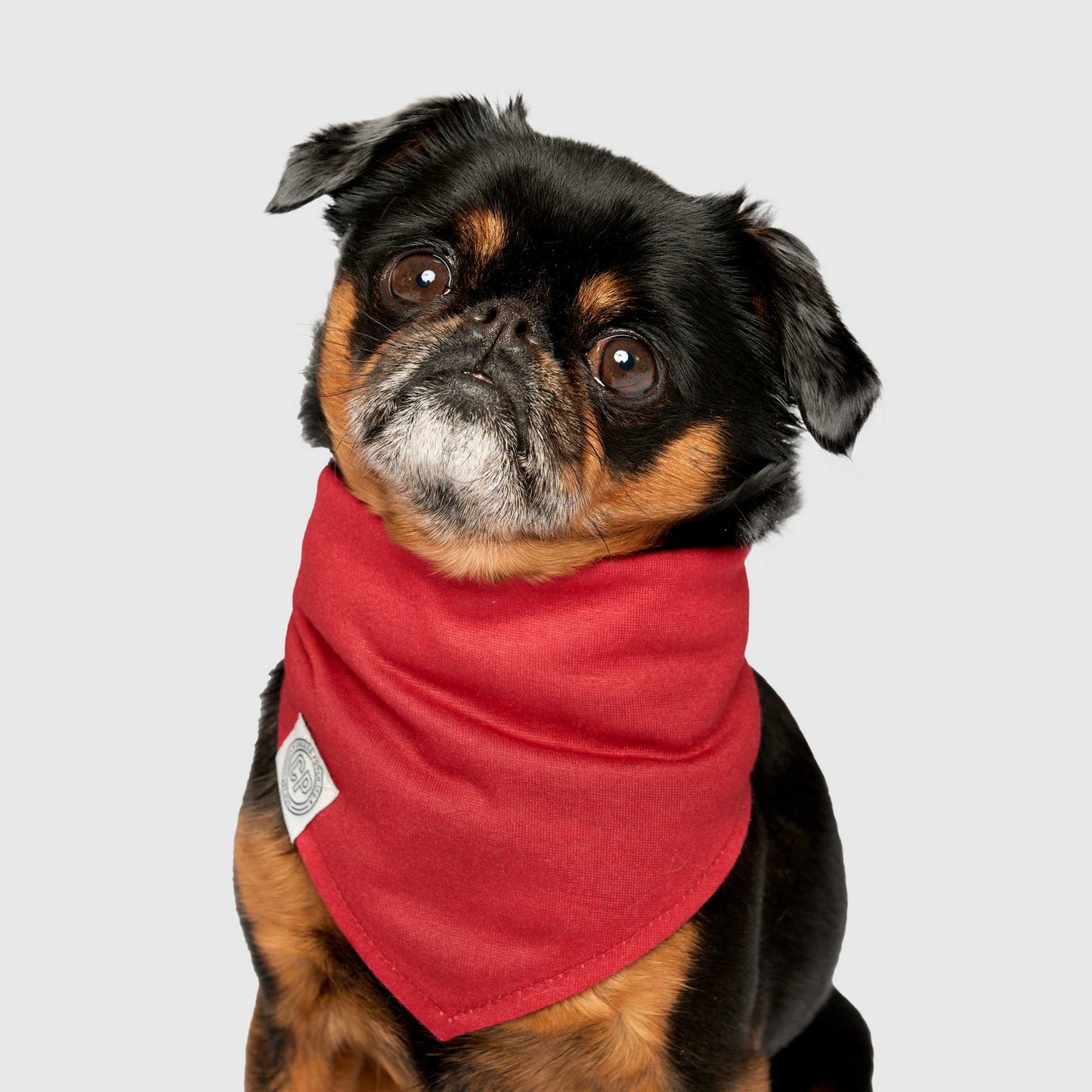 Holiday Bandana