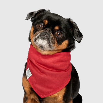 Holiday Bandana