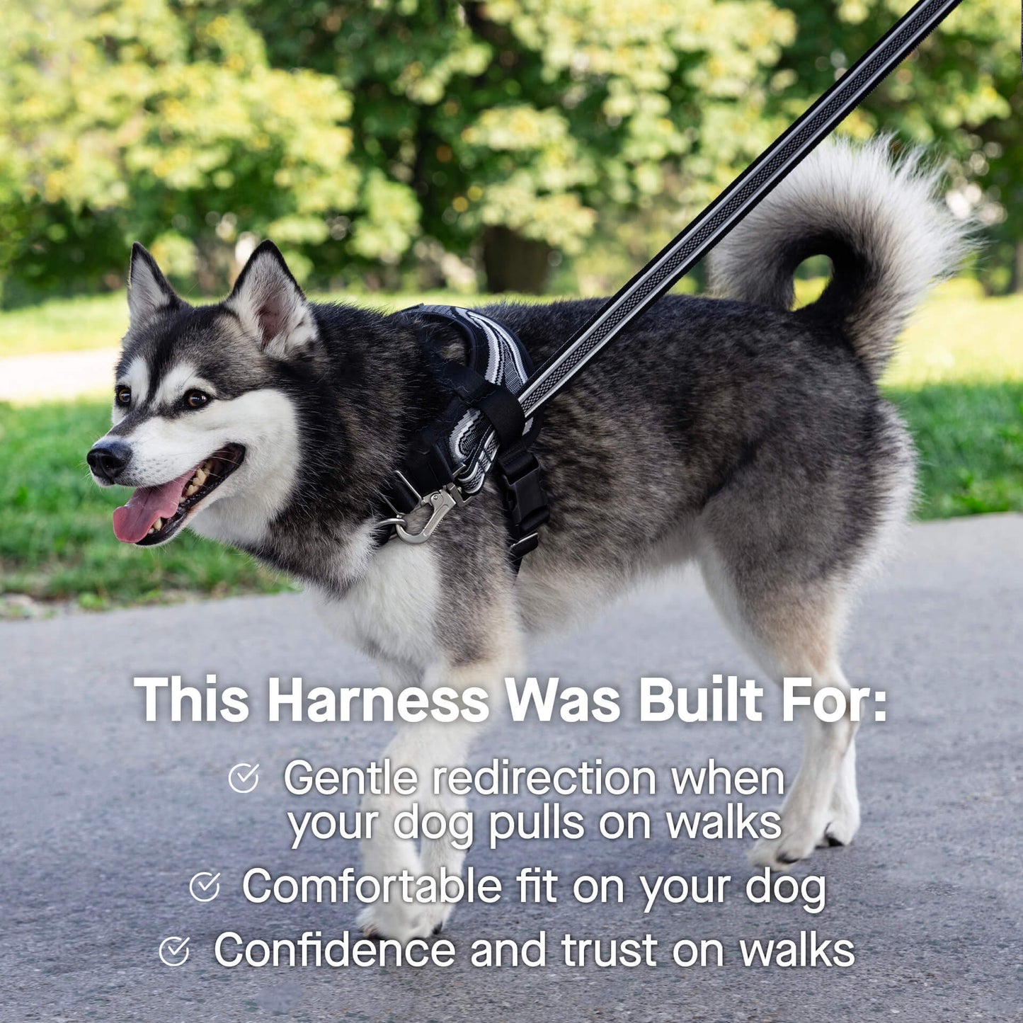 Re-Direct Harness