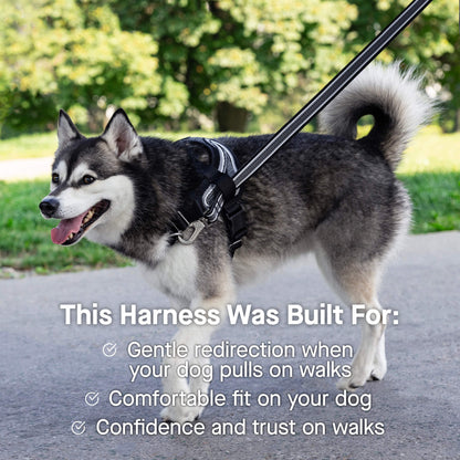 Re-Direct Harness