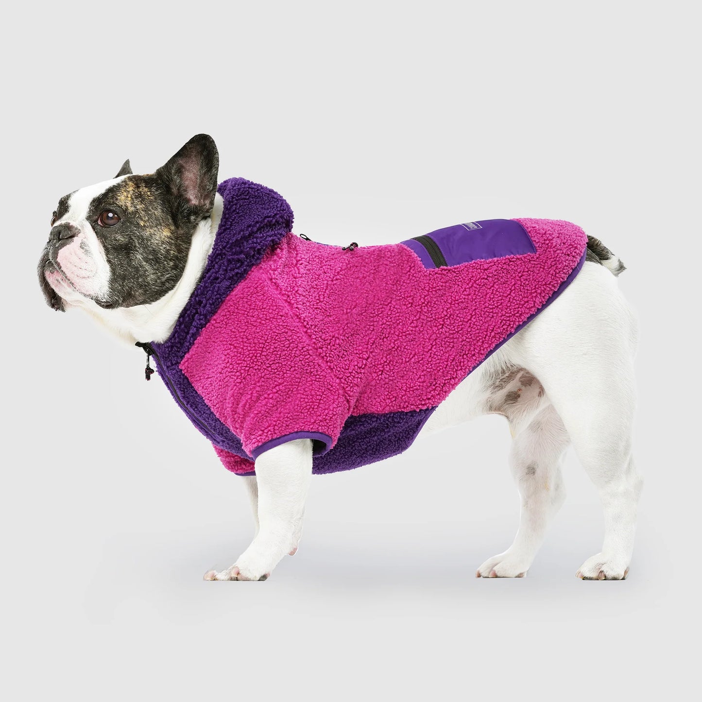 Cool Factor Hoodie