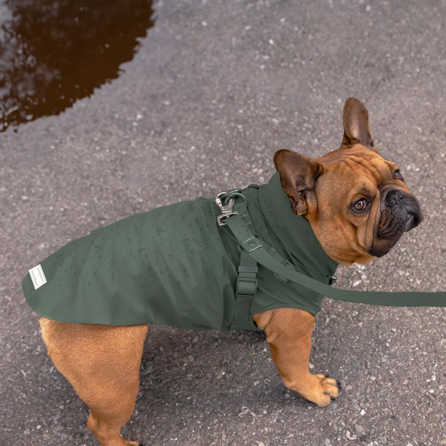 Harness Raincoat