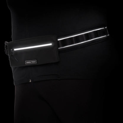 Handsfree Dog Walking Belt