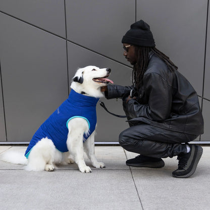 Reversible Puffer Vest
