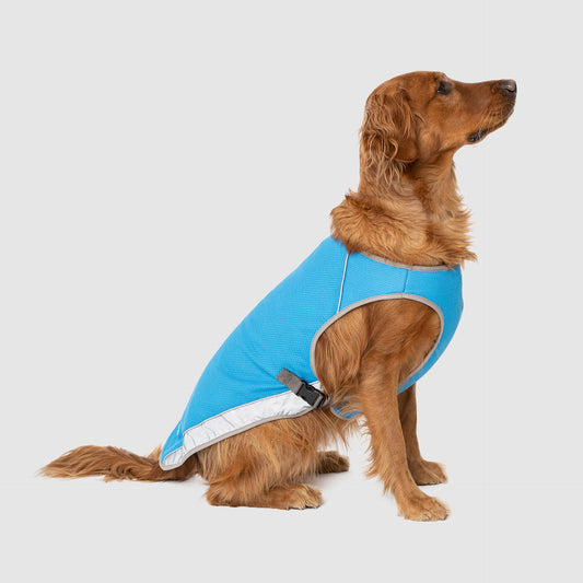 Chill Seeker Cooling Vest